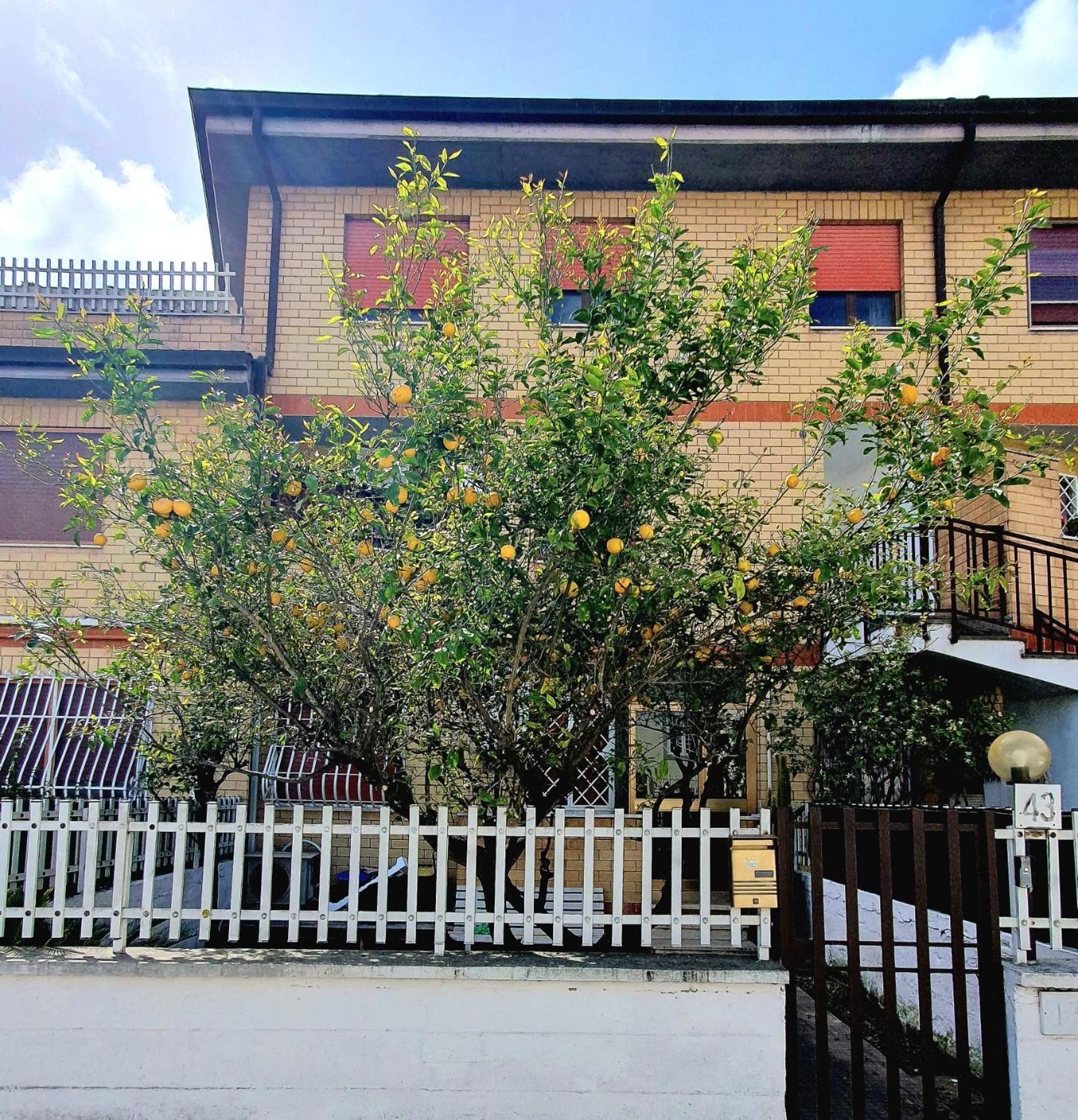 Lemon Tree House Apartment Ostia Antica Exterior photo